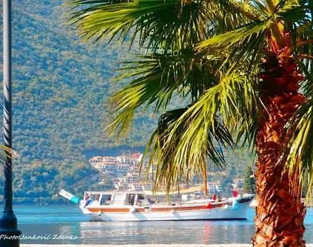 Ship Dolin - With View To Old Town * 扎达尔